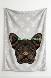 Louis Vuitton Throw Blankets